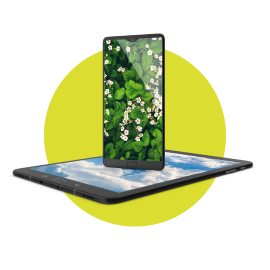 Categoria&SottoCategoria_1