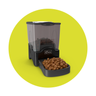 Categoria&SottoCategoriaNEW_24