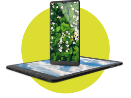 Categoria&SottoCategoria_1