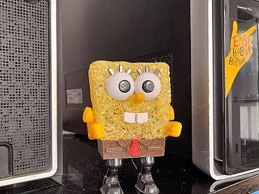 173963170_768954463824568_8355236691644570662_n