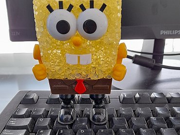 175837143_370611264193659_1739454817002327153_n