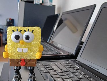 188285557_271286671359784_5476346162537285015_n