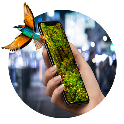 smartphonecolibrì